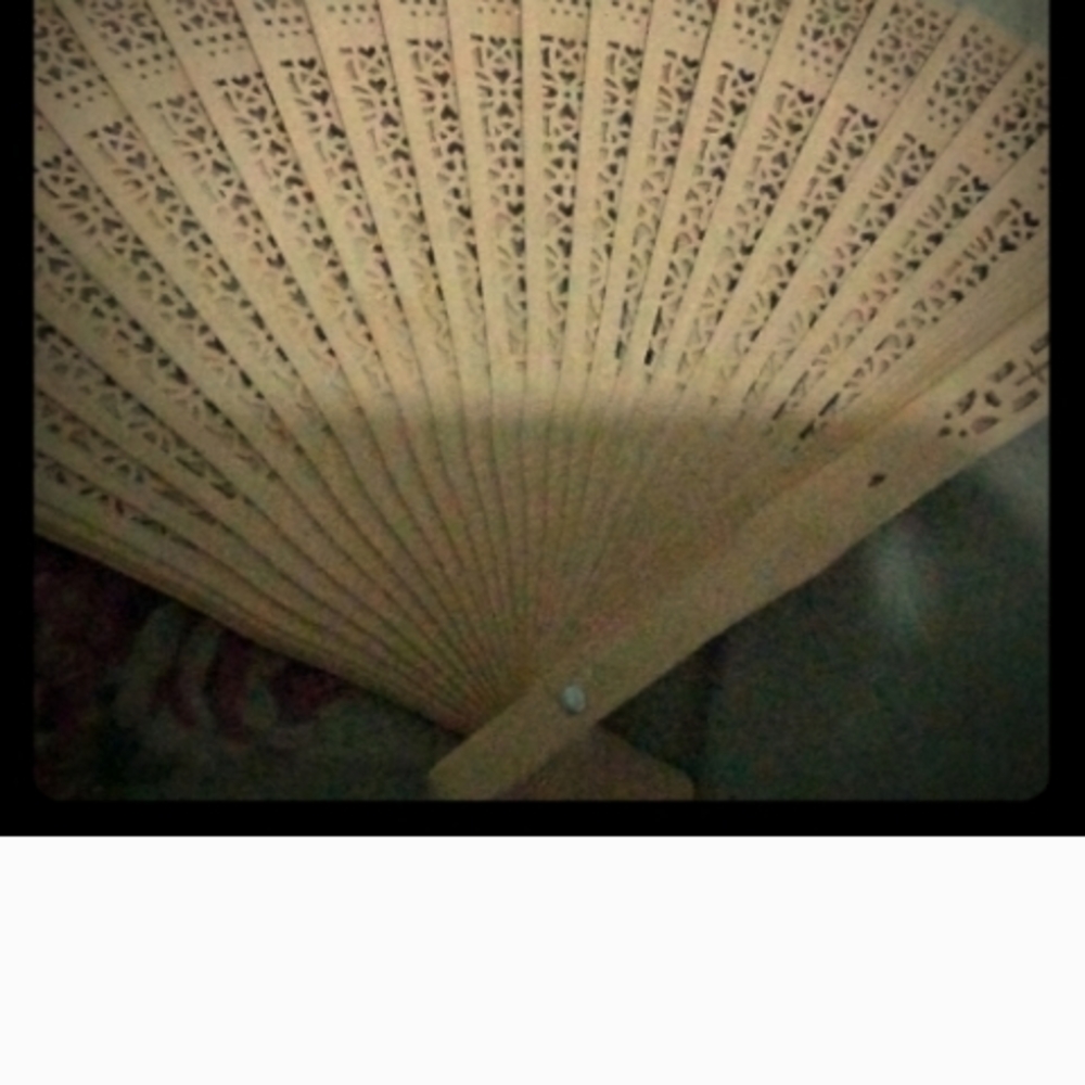 Elegant Tan Handheld Fan